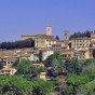Montescudaio