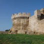 Populonia